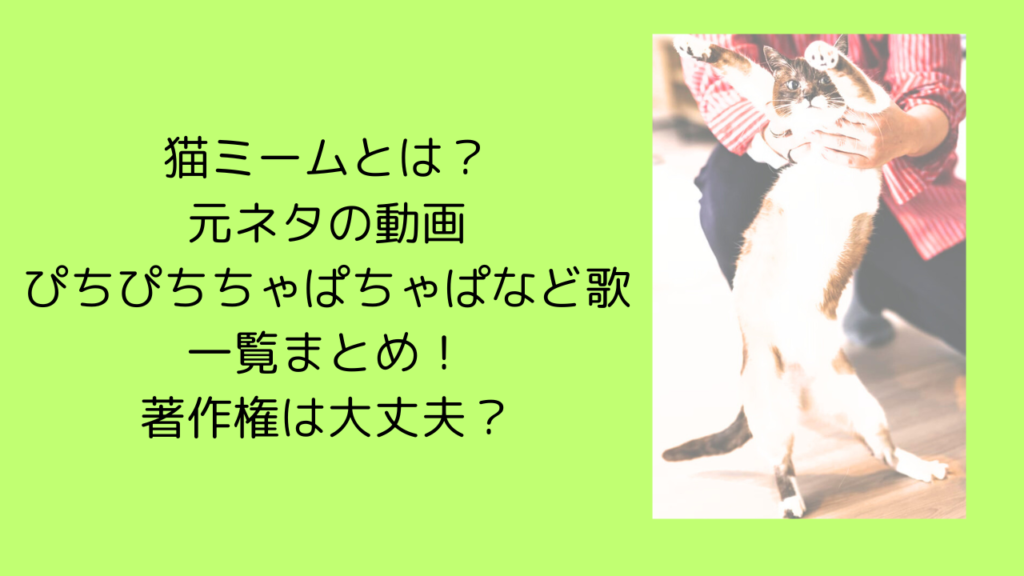 猫ミーム　猫ミームとは　元ネタ　ぴちぴちちゃぱちゃぱ　一覧　まとめ　著作権　収益化